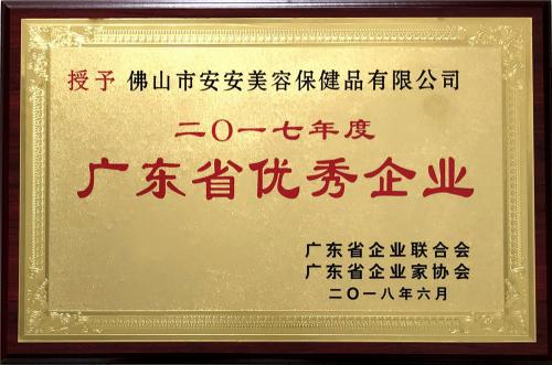 2017广东省优良企业